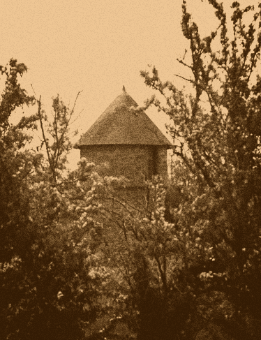 Image associée
